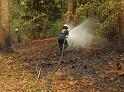 Waldbrand Bergisch Gladbach Bensberg P170